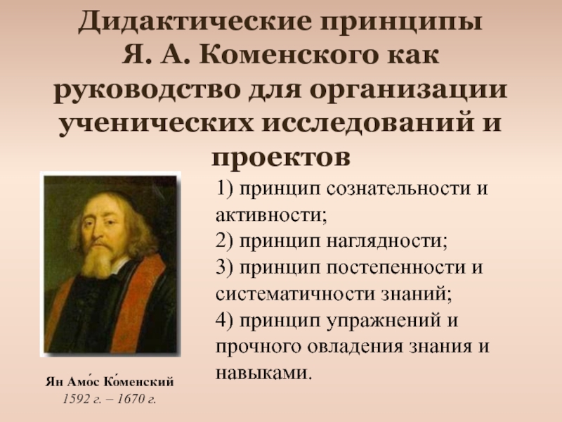 Дидактические принципы Яна Амоса Коменского. Ян Амос Коменский педагогические принципы. Дидактические принципы я.а Коменского. Педагогические идеи Яна Коменского.