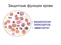 Защитные функции крови