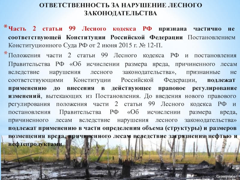 Статья 99. Ответственность за нарушение лесного законодательства. Лесной кодекс РФ доклад. Ст. 99 лесного кодекса РФ. Ч 2 ст 99 лесного кодекса РФ.