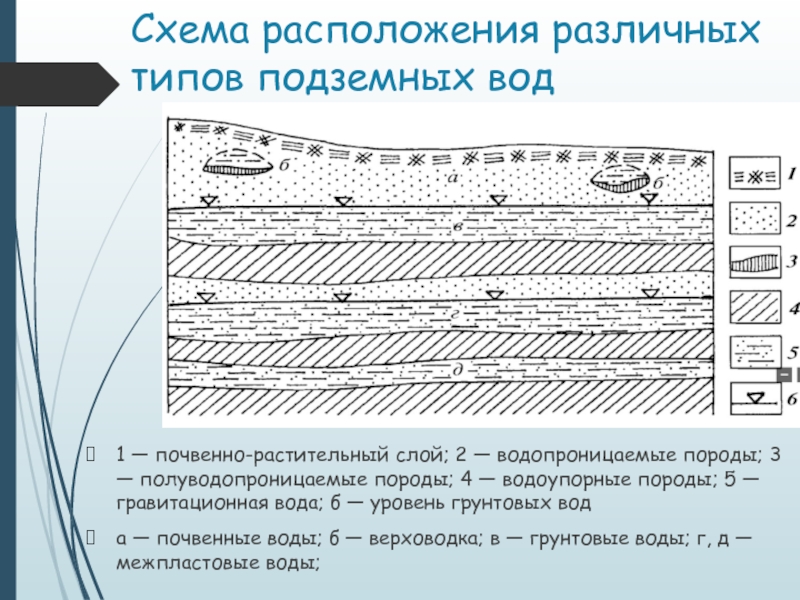 Растительный слой. Подземные воды схема расположения. Схема размещения подземных вод. Почвенно растительный слой. Схема расположения грунтовых вод.