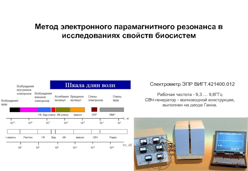 Метод электронного парамагнитного резонанса в исследованиях свойств биосистем