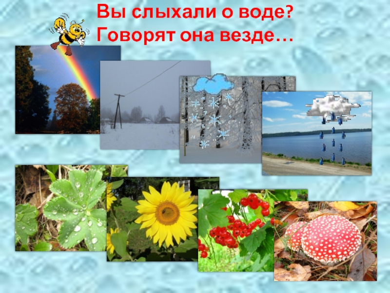 Окружающий мир 3 класс берегите. Вода повсюду. Вода везде. Вода везде картинки. Картинка вы слыхали о воде говорят она везде.