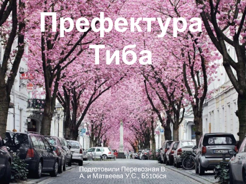 Презентация Префектура Тиба