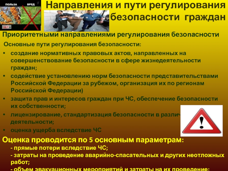 Пути регулирования. Направления безопасности жизнедеятельности. Совершенствование безопасности. Основные направления БЖД. Основное направление безопасности жизнедеятельности..