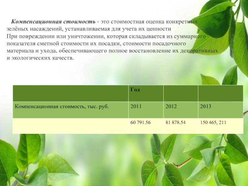 Оценка стоимости зеленых насаждений образец