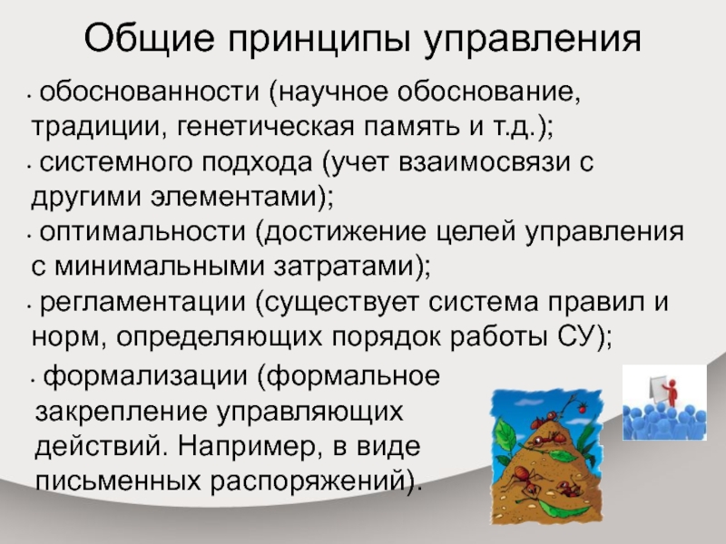 Управление и кибернетика презентация