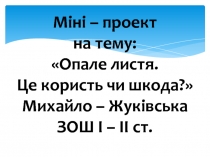 Опале листя. Це користь чи шкода?