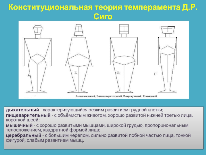 Схемы конституциональной диагностики и б галанта