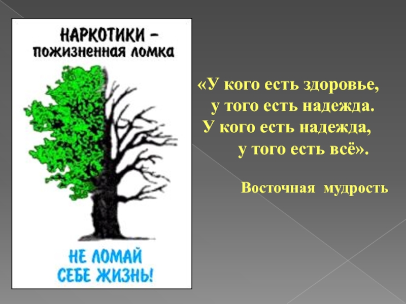 Жизнь без наркотиков презентация