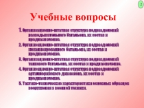 Организационно-штатная структура подразделений разведывательного батальона, их состав и предназначение