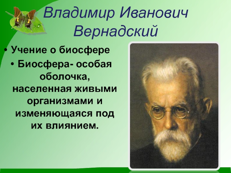 Биосфера по вернадскому презентация