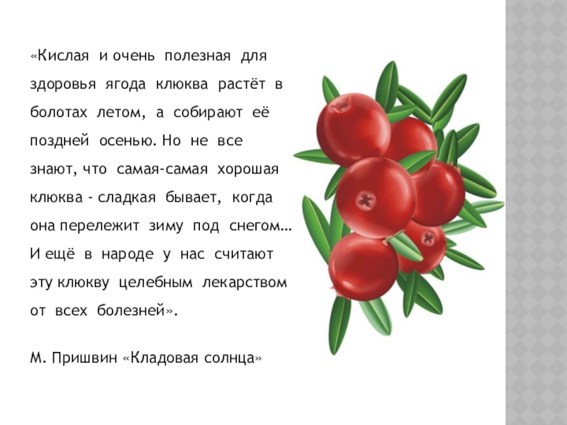 Песня брусника. Стих про клюкву. Стихи для дошкольников про клюкву. Кислая и очень полезная ягода клюква. Частушки про клюкву.