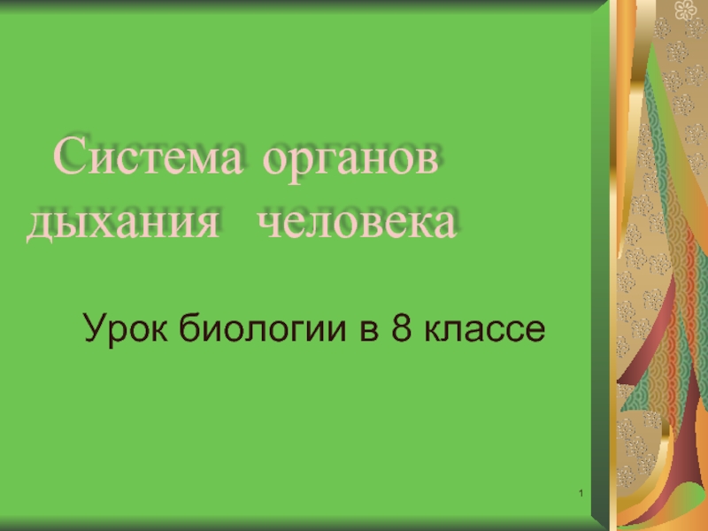 Презентация Система органов дыхания человека (8 класс)