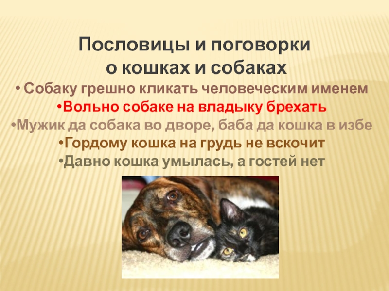 План описания животного 4 класс