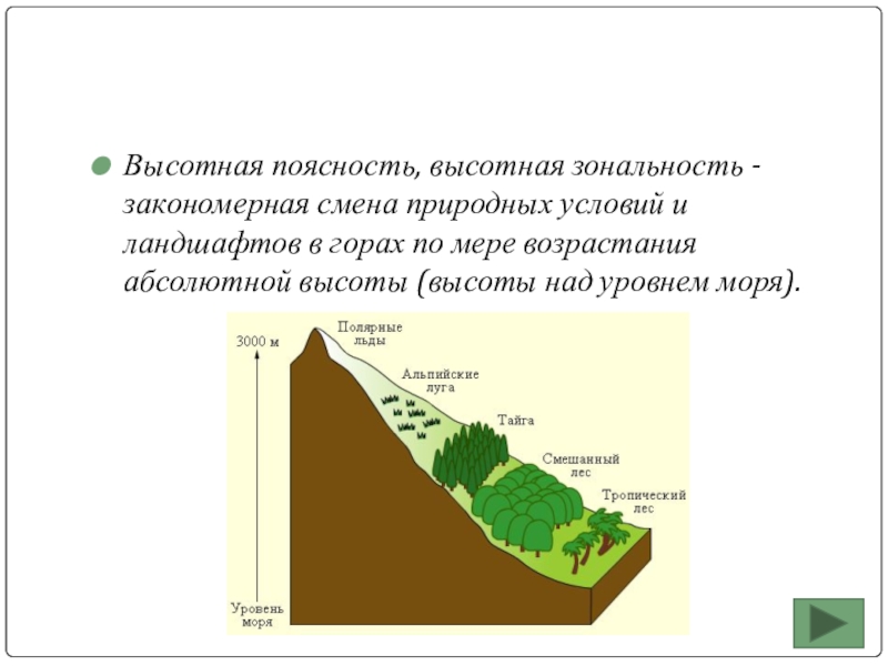 Закономерная схема природных зон и природных условий в горах называется