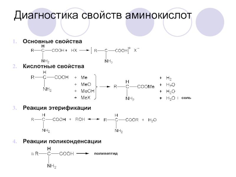 Запишите используя общую формулу аминокислот схему реакции поликонденсации аминокислот в полипептид