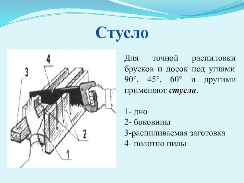 Пиление заготовок из древесины 5 класс презентация