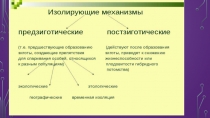 эволюция 11 класс