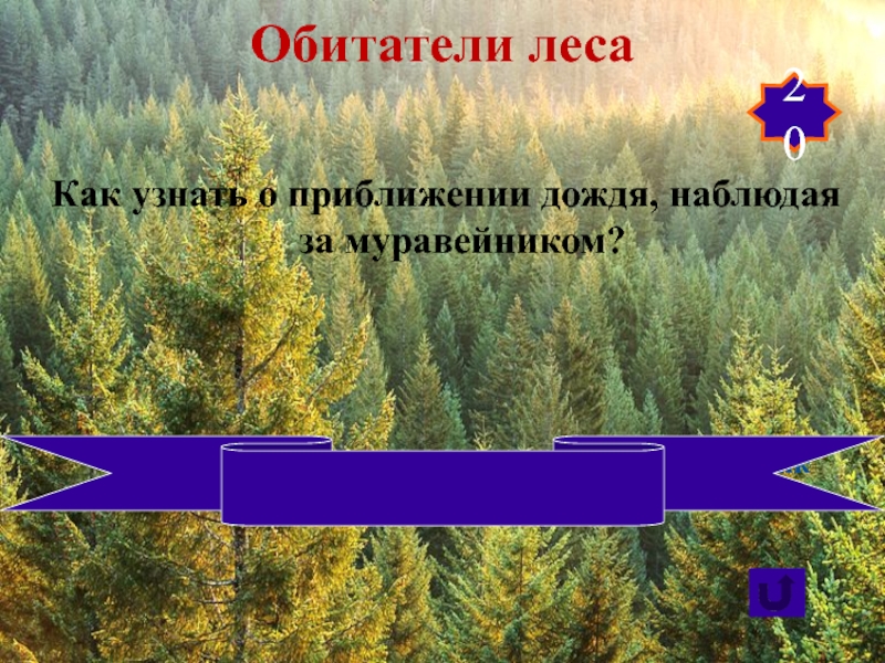 Почему в лесу. Враги леса. Почему нельзя рубить леса. Друзья и враги леса. Вражеский лес.