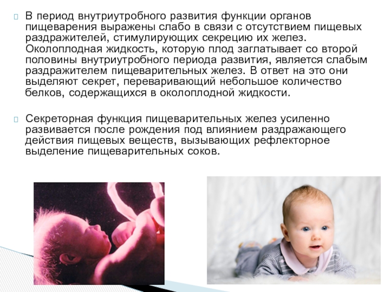 Внутриутробное развитие организма развитие после рождения. Периоды внутриутробного развития. Нарушение внутриутробного формирования это. Внутриутробное развитие пищеварительной системы. Особенности внутриутробного периода.