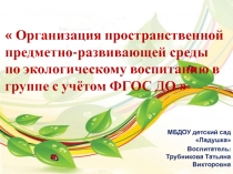 Организация пространственной предметно-развивающей среды по экологическому воспитанию в группе с учётом ФГОС ДО