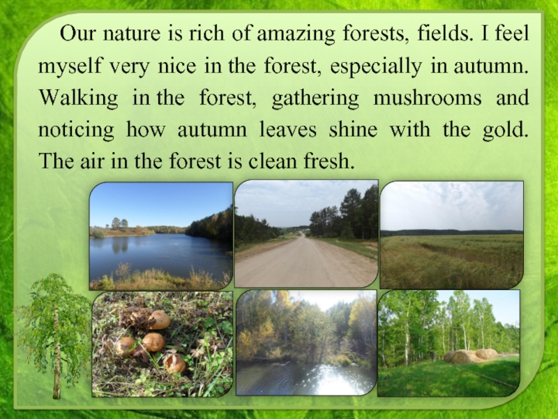 Our nature is rich of amazing forests, fields. I feel myself very nice in the forest, especially in autumn. Walking in the forest,