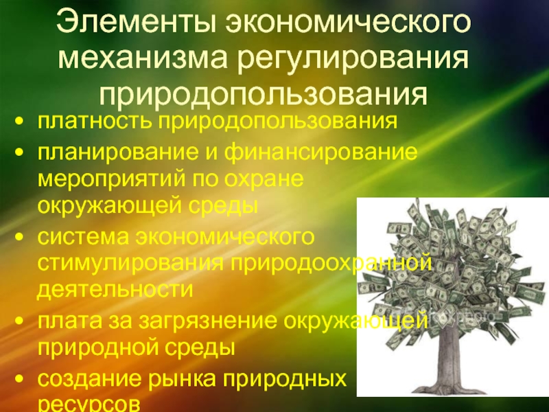 Регулирование природопользования. Элементы экономического механизма охраны окружающей среды. Экономический механизм природопользования. Экологический механизм природопользования.