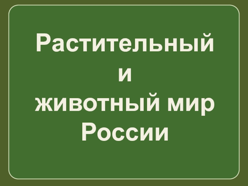 Презентация Растительный
и
животный мир России