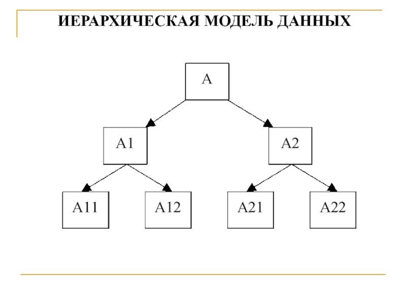 Иерархического способа организации данных. Иерархическая модель базы данных. Иерархическая база данных схема. Схема иерархической модели базы данных. Иерархическая модель данных БД.