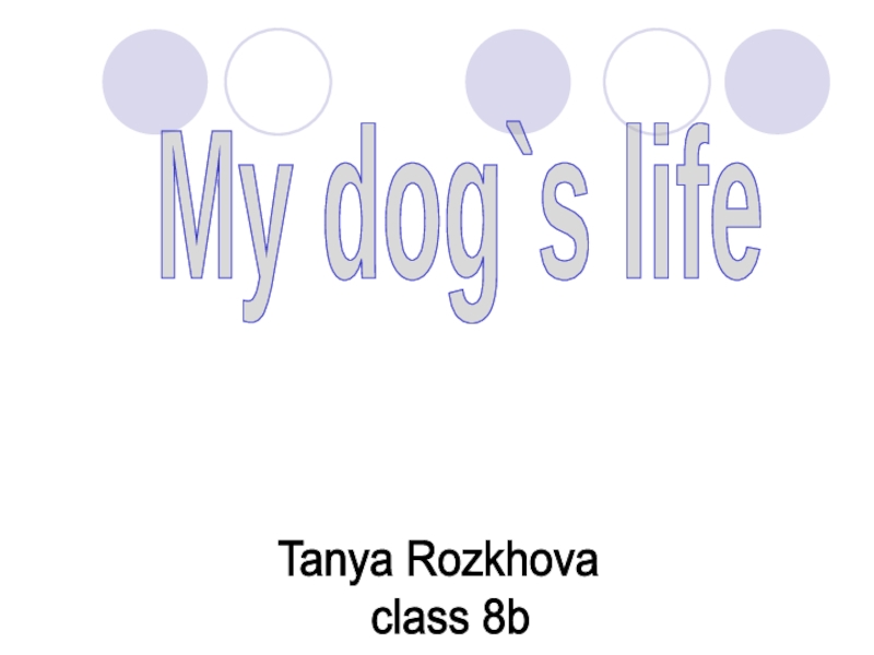 My dog`s life