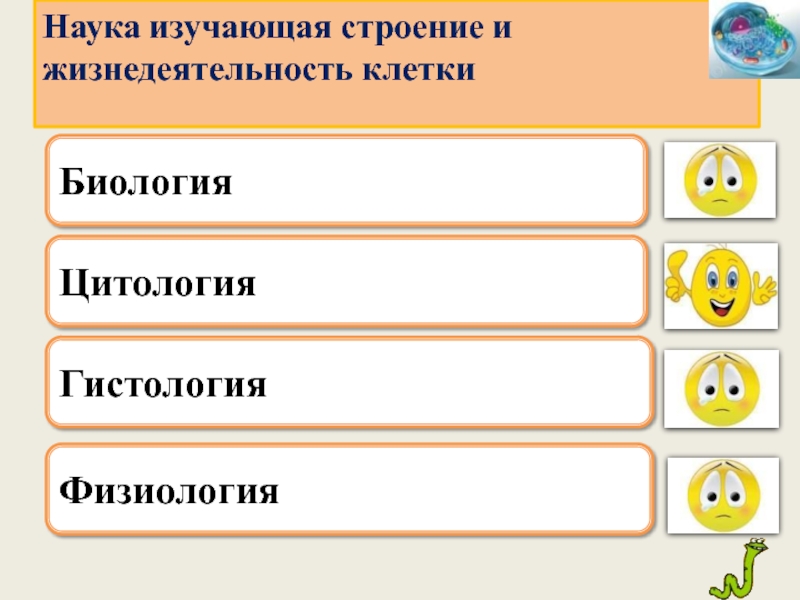 Наука изучающая строение. Наука изучающая строение и жизнедеятельность клетки. Наука изучающая процессы жизнедеятельности клетки. Укажите, какая наука изучает строение и жизнедеятельность клетки. СТО ранги в клетке биология.