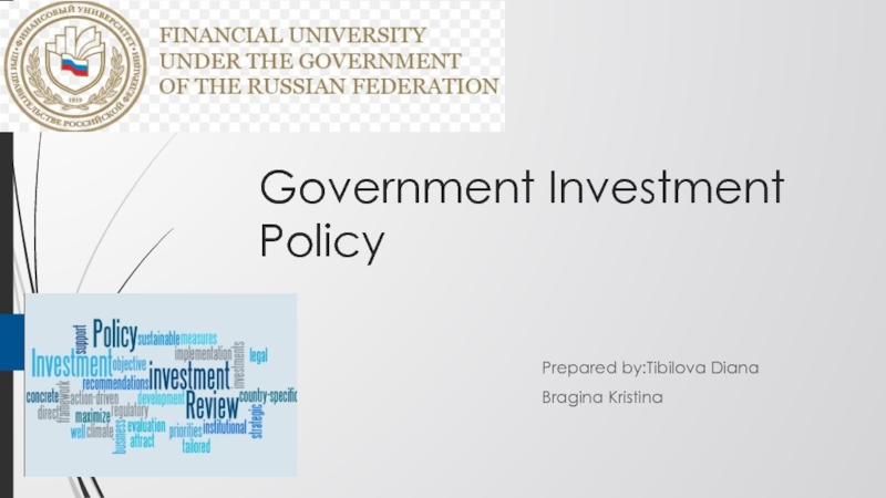 Government Investment Policy