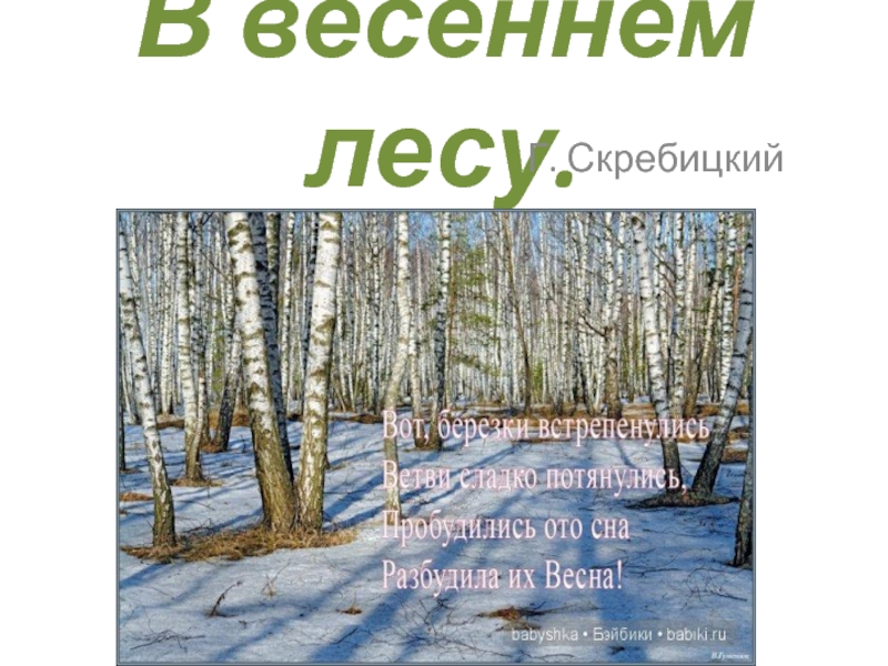 В весеннем лесу