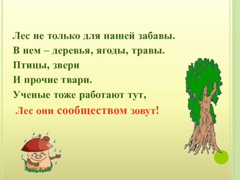 Тут леса. Лес не только для нашей забавы. Лес не только для нашей забавы он богатство нашей страны. Лес не только для нашей забавы Автор. Стих лес не только для нашей забавы.