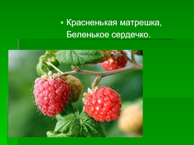 Ответ на загадку красненькая матрешка беленькая. Красненькая матрёшка Беленькое сердечко. Загадка Красненькая Матрешка Беленькое сердечко. Красненькая матрёшка Беленькая сердечко что это. Отгадка на загадку Красненькая матрёшка Беленькое сердечко.