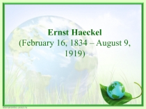 Ernst Haeckel (February 16, 1834 – August 9, 1919)