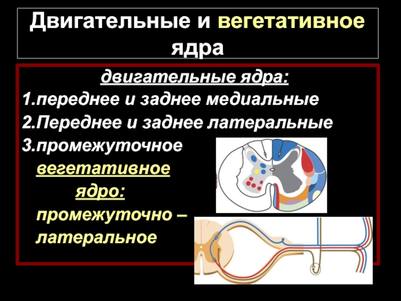 Соединение и преобразование различных представлений в целую картину новых образов