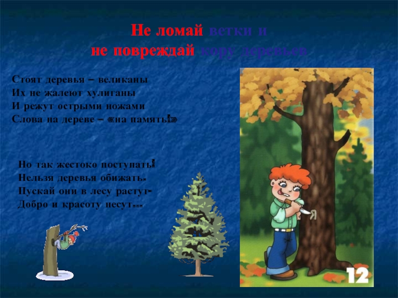 Деревья нельзя. Дерево правил поведения в лесу. Берегите деревья стихи. Нельзя повреждать деревья. В лесу нельзя.