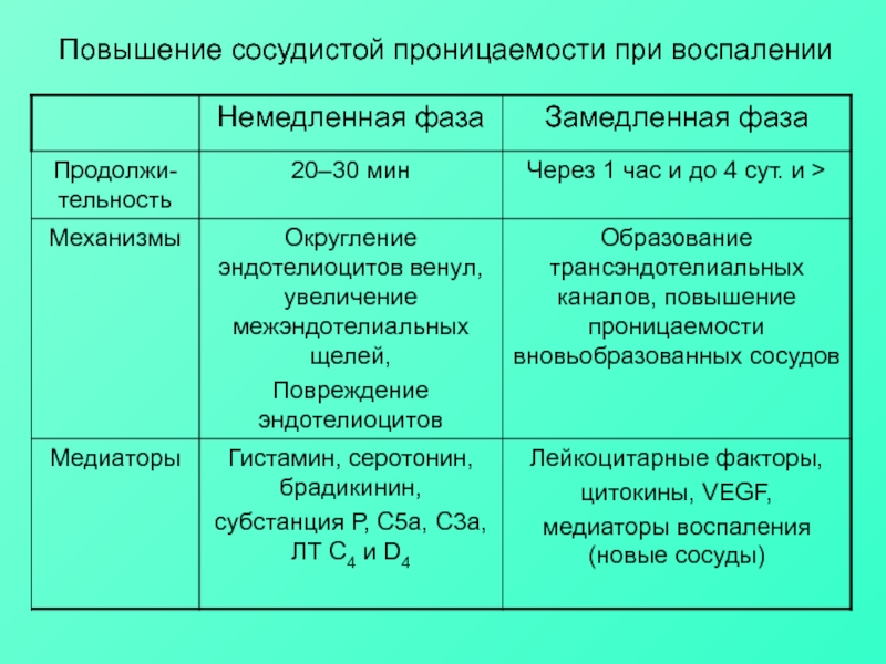 Проницаемость сосудов фото