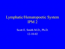 Lymphatic/Hematopoetic System IPM 2