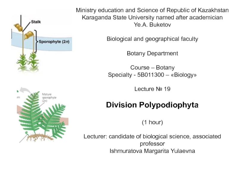 Ministry education and Science of Republic of Kazakhstan
Karaganda State