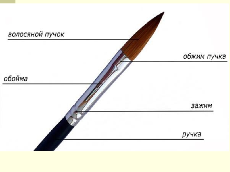 Как называется кисть. Названия частей кисти для рисования. Строение Кисточки для рисования. Кисть для рисования состоит из. Из чего состоит кисть для рисования.