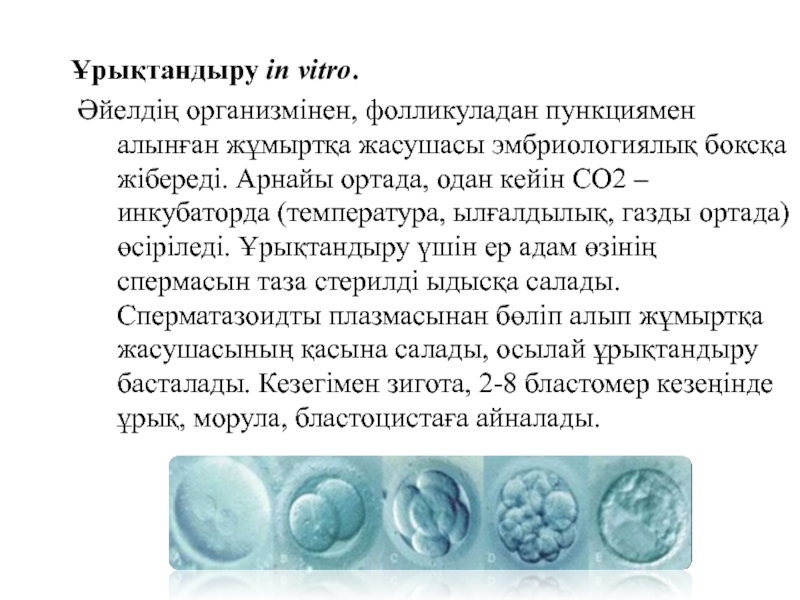 Экстракорпоралды ұрықтандыру презентация