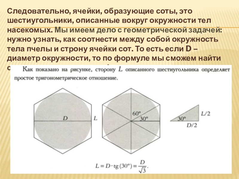 Правильная форма шестиугольника. Элементы правильного шестигранника. Элементы правильного шестиугольника. Размер правильного шестигранника.