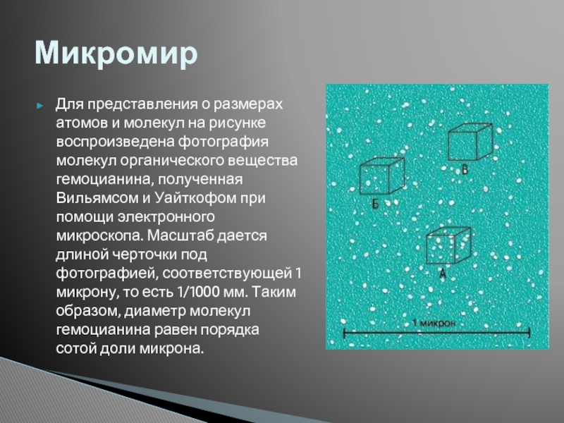 На фотоснимке видимый диаметр молекулы равен 0.5. Размер молекулы по фотографии. Размеры атомов и молекул. Диаметр молекулы по фотографии. Размеры молекул картинки.