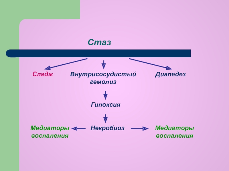 Стаз это