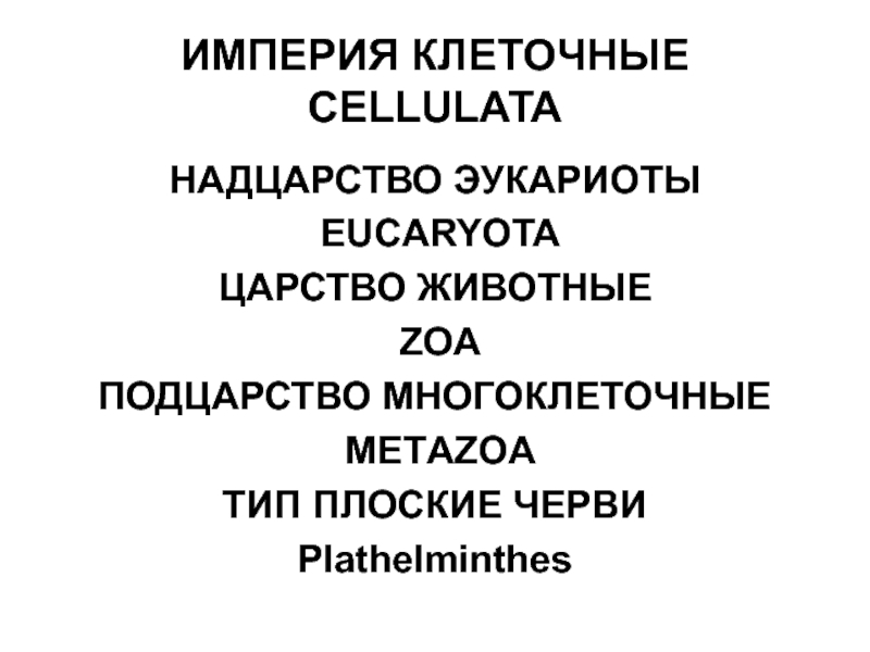 Империя клеточные. Империя Cellulata. Империя клеточные Надцарство животные Подцарство многоклеточные. Империя клеточные на латыни.