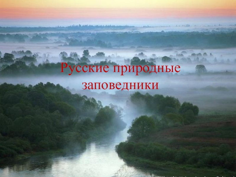 Презентация Русские природные заповедники