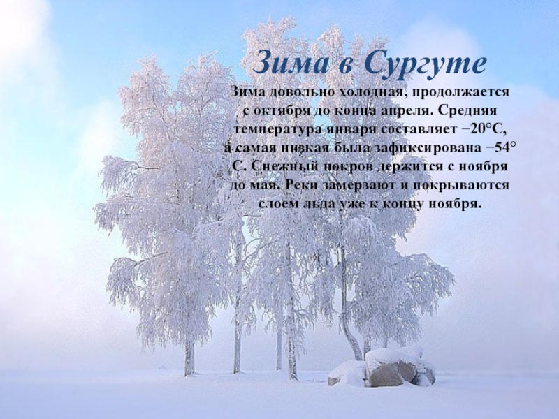 Зима в Сургуте Зима довольно холодная, продолжается с октября до конца апреля. Средняя температура января составляет −20°С, а самая низкая