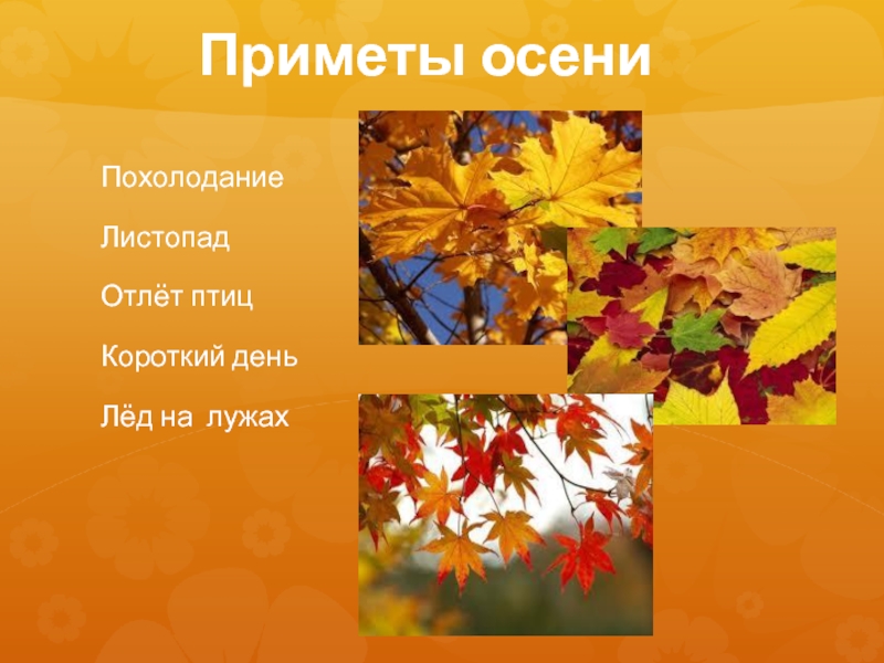 Осень конспект. Приметы осени. Проект приметы осени. Презентация осень 1 класс. Приметы осени листопад.